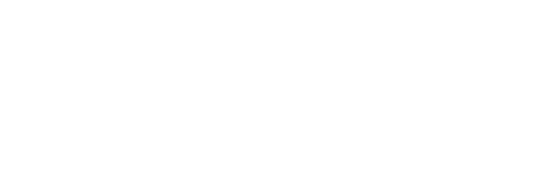 LideraGOV