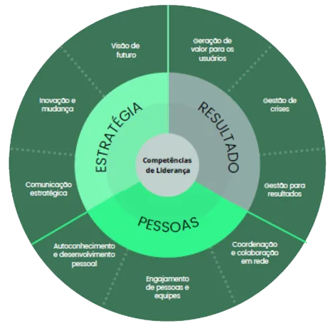 Competências Desenvolvidas